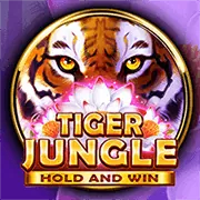 DOM88 Tiger Reel